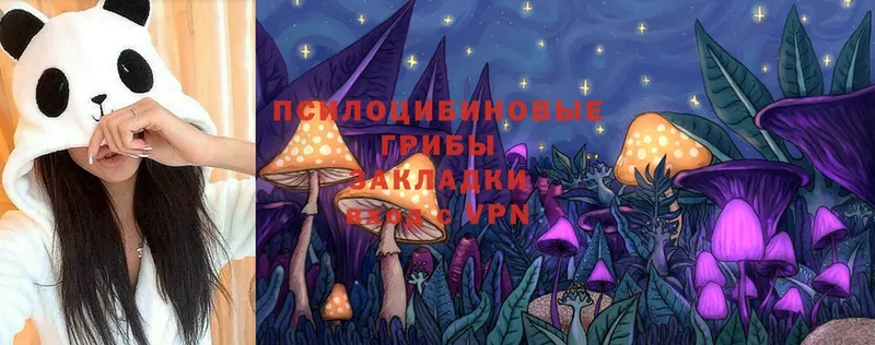 Псилоцибиновые грибы Cubensis  darknet состав  Вичуга 